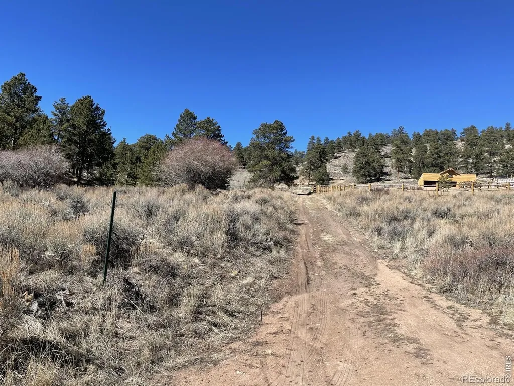 1018 Beartrap Road Red Feather Lakes CO 80545