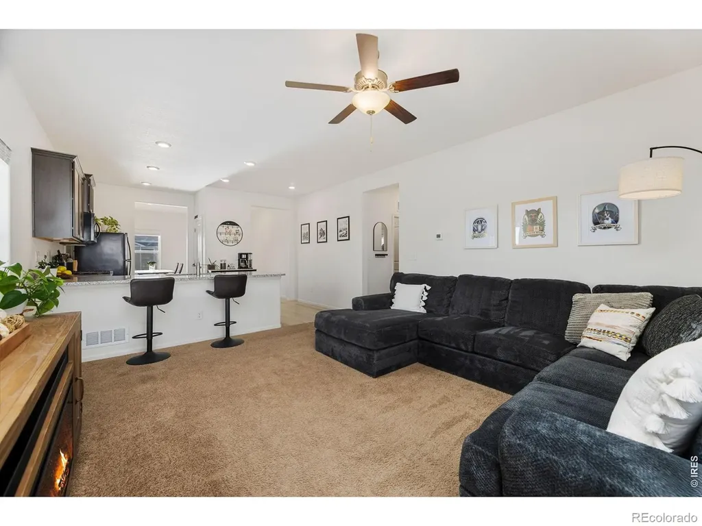 1078 Long Meadows Street Severance CO 80550
