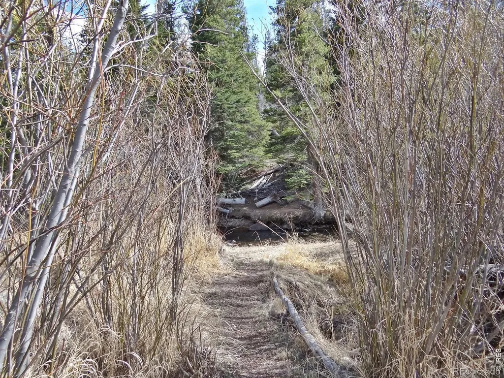 7498 Ottawa Way Red Feather Lakes CO 80545