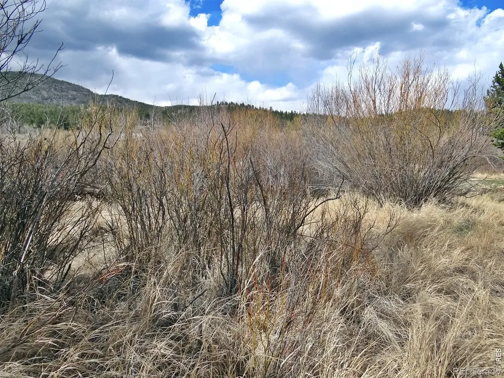7498 Ottawa Way Red Feather Lakes CO 80545