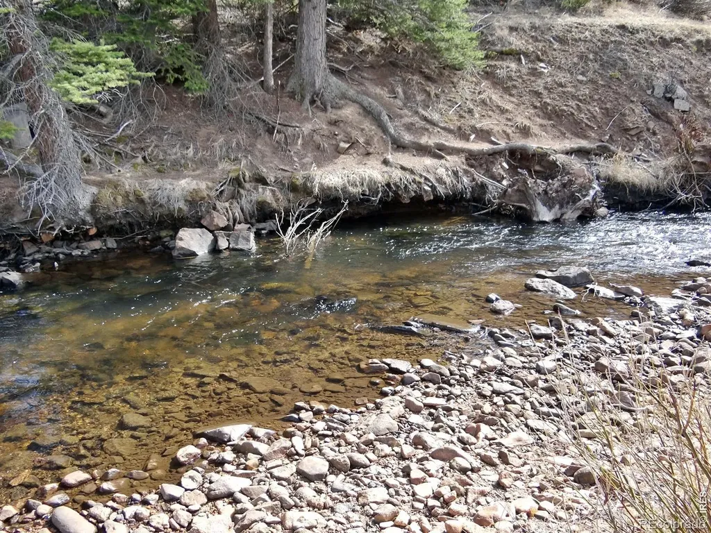 7498 Ottawa Way Red Feather Lakes CO 80545
