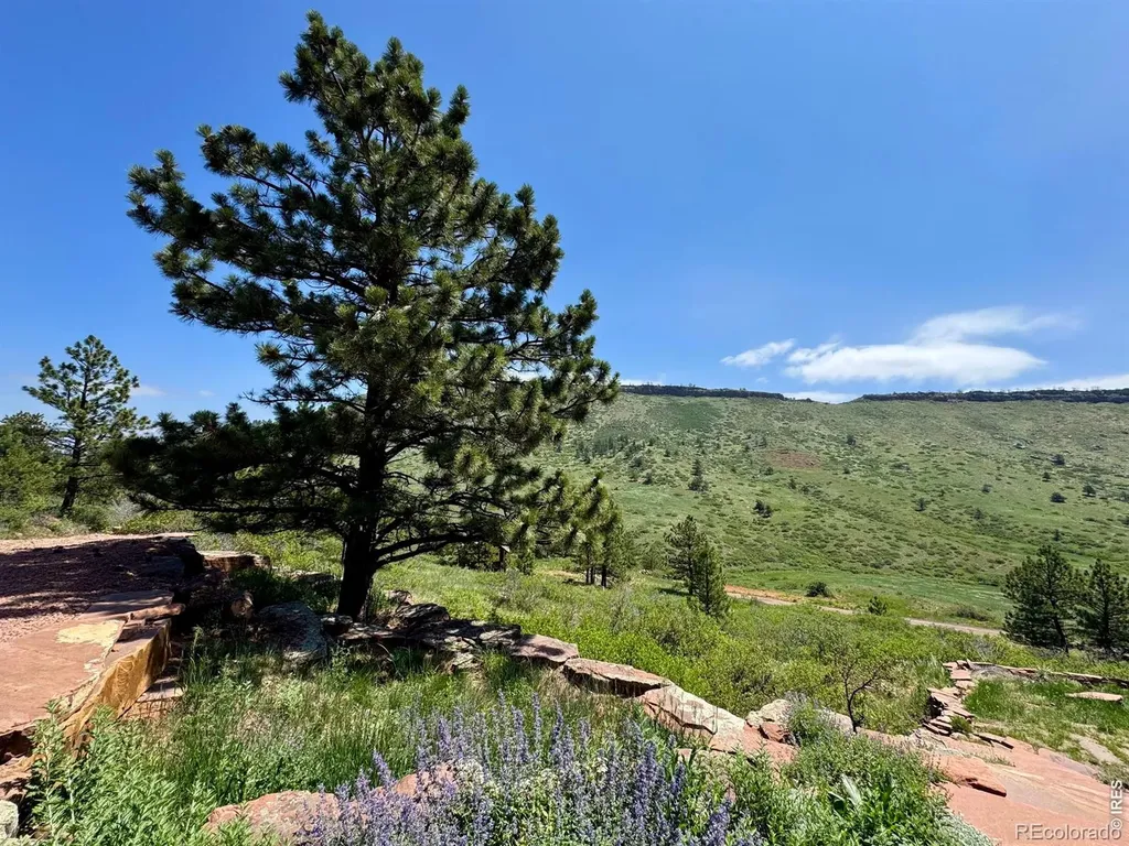 2901 Stone Canyon Road Lyons CO 80540