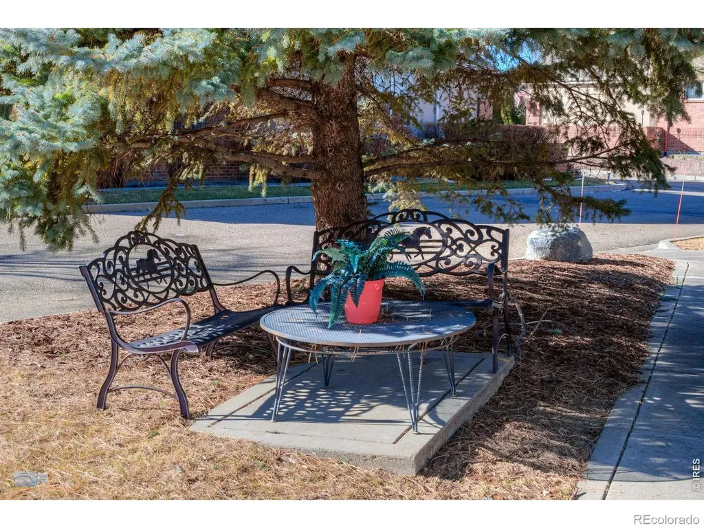 1333 Charles Drive Longmont CO 80503