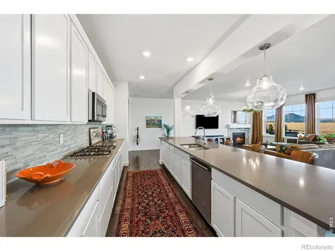 19133 W 95th Lane Arvada CO 80007