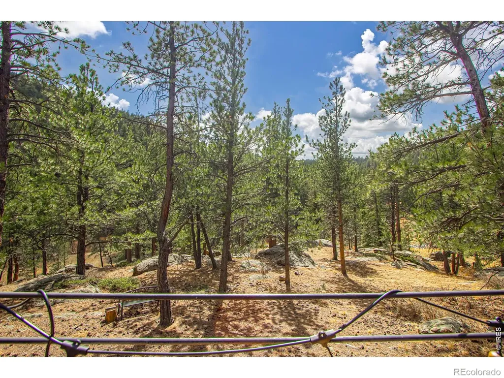 117 Aspen Drive Lyons CO 80540