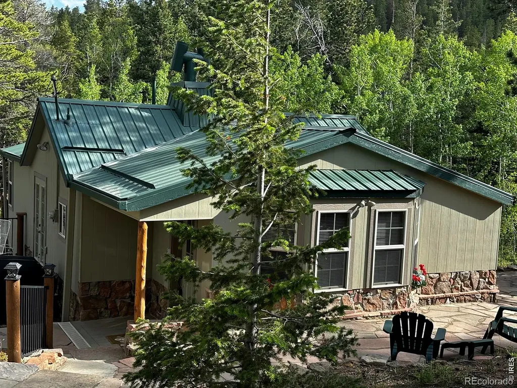 131 County Road 90 Allenspark CO 80510