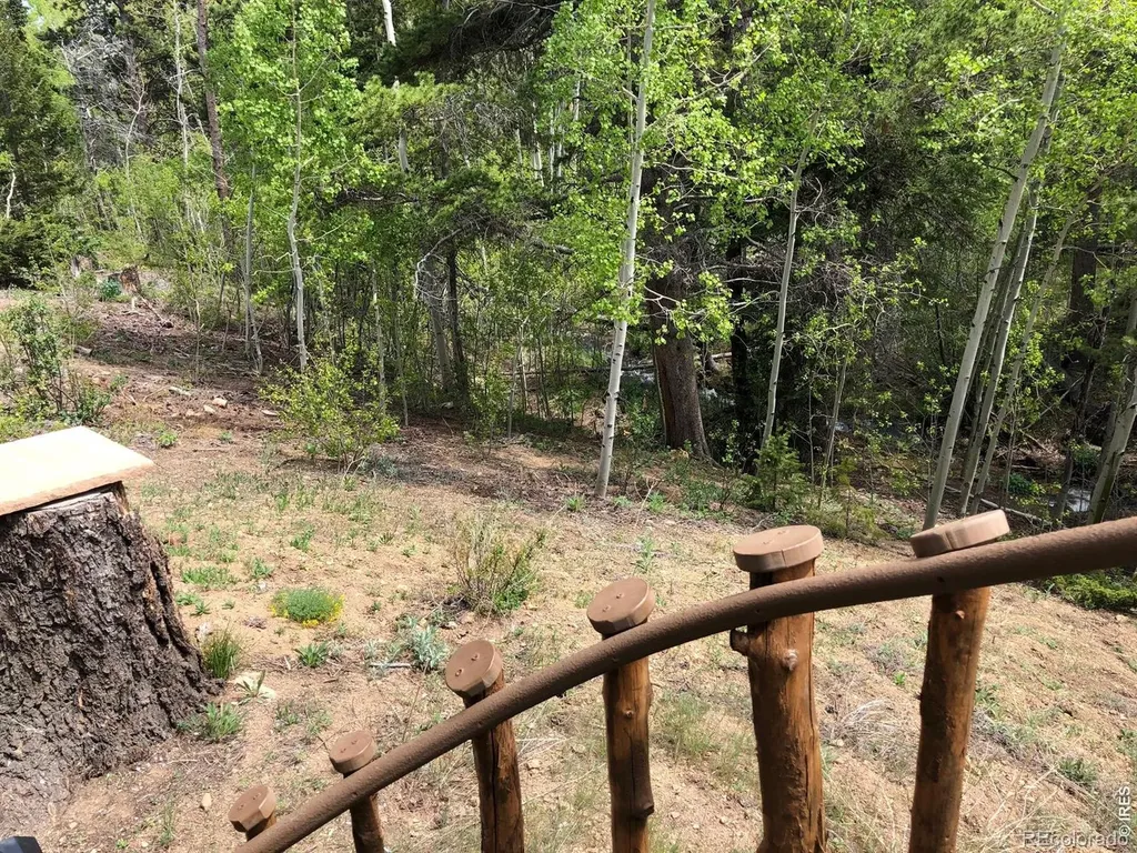 131 County Road 90 Allenspark CO 80510