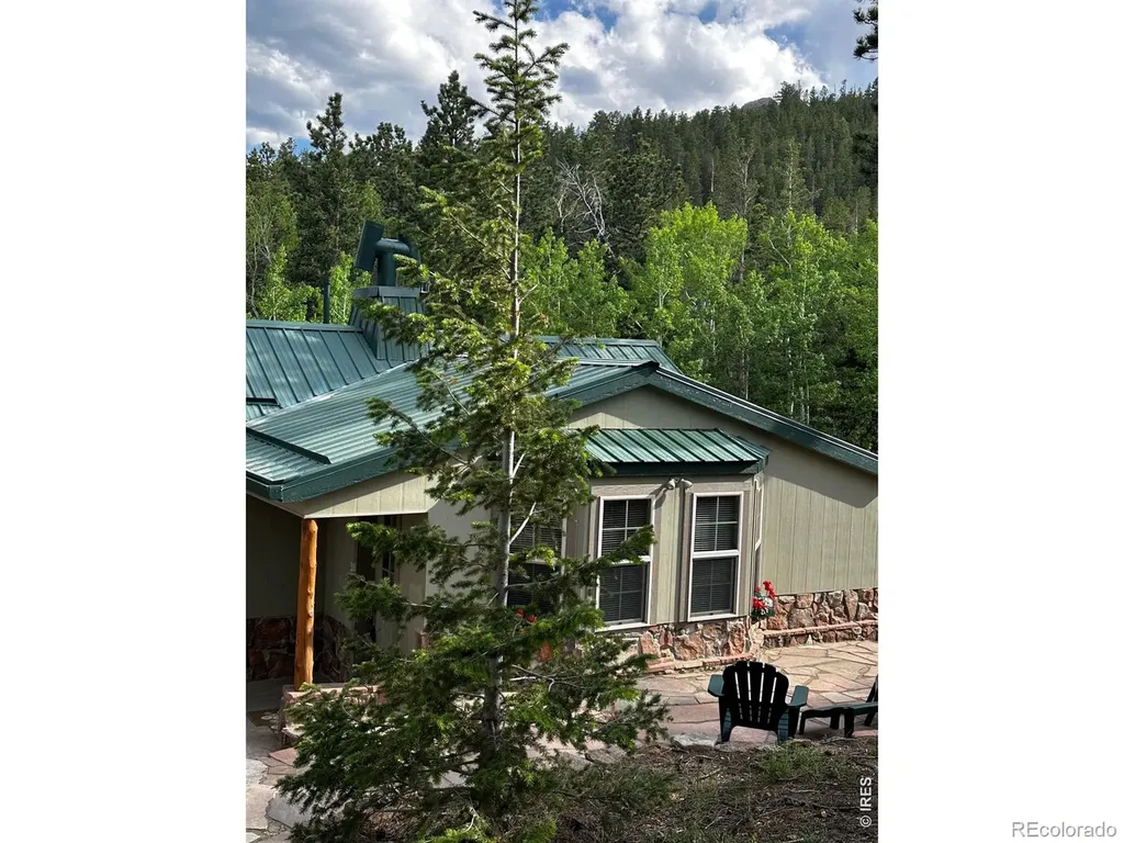 131 County Road 90 Allenspark CO 80510
