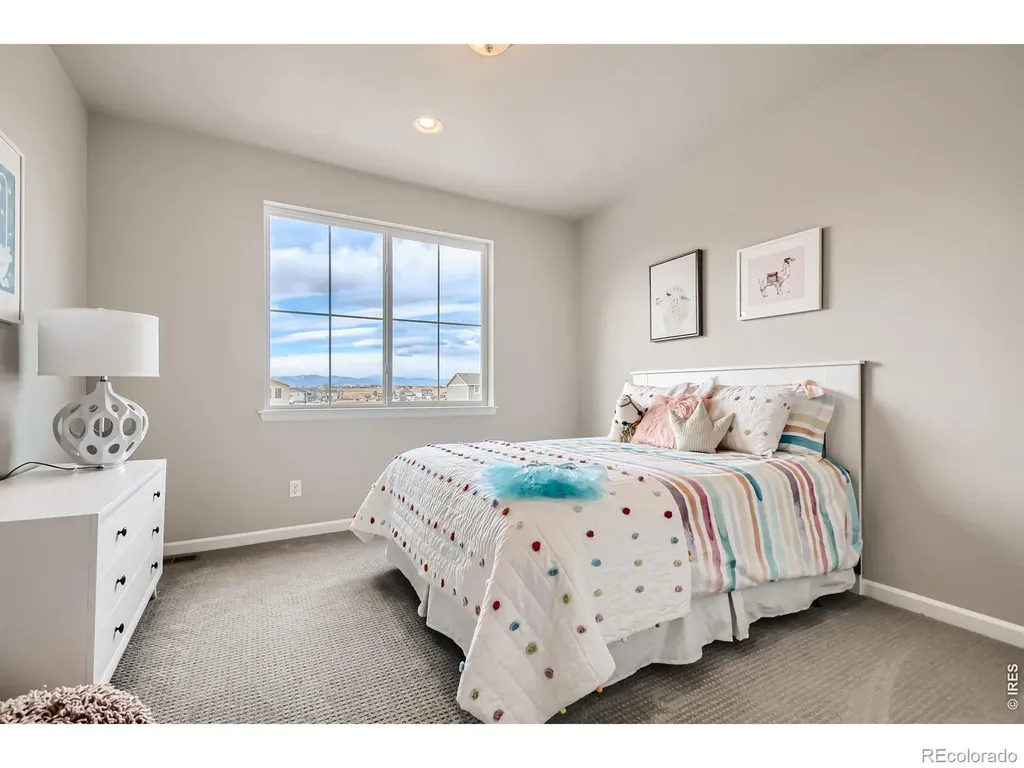 617 Noola Street Windsor CO 80550