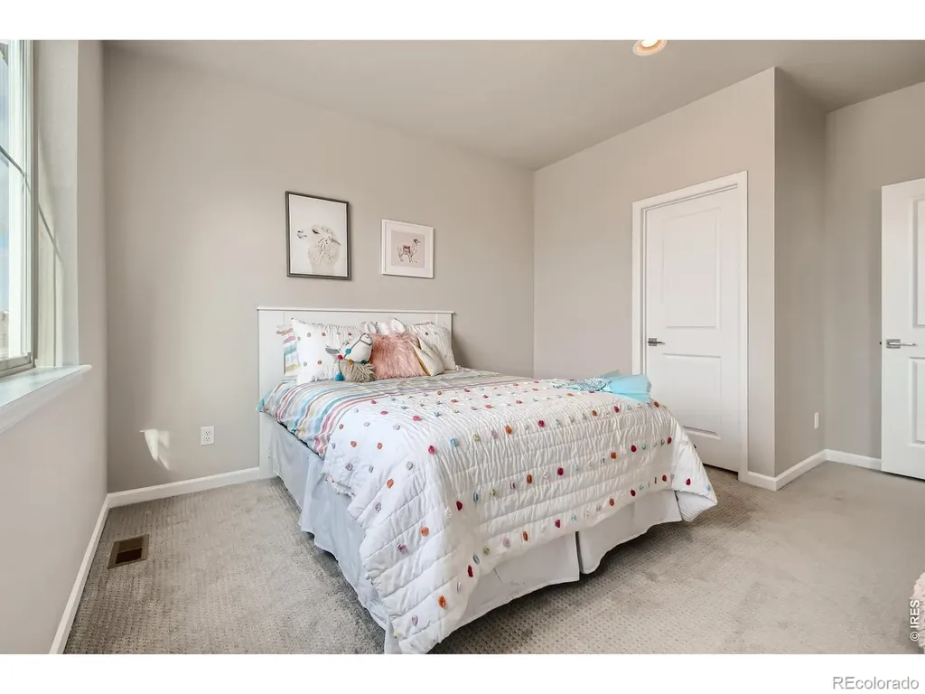 617 Noola Street Windsor CO 80550