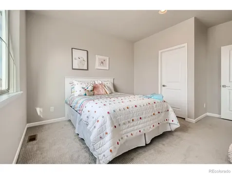 617 Noola Street Windsor CO 80550