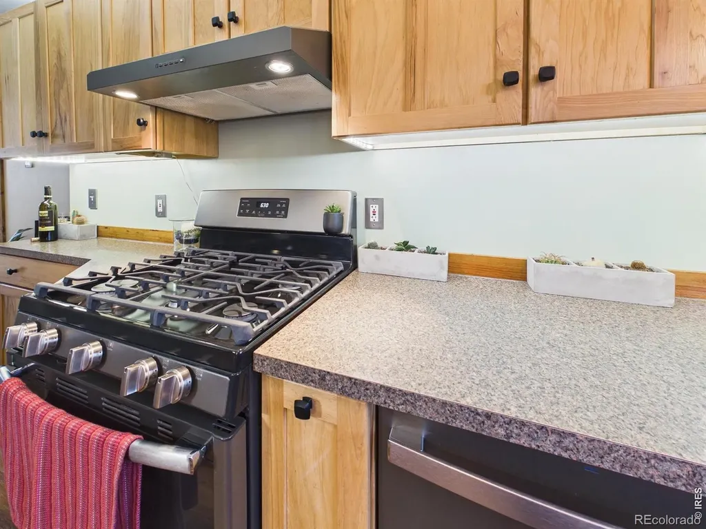 131 W Boulder Street Nederland CO 80466