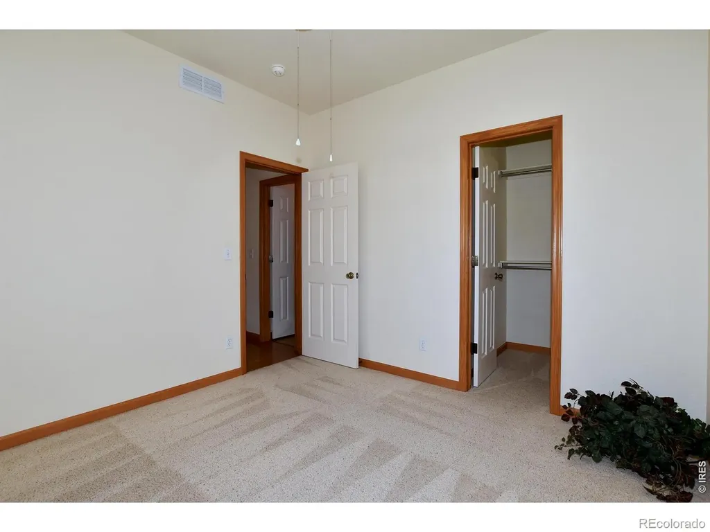 1047 Canal Drive Windsor CO 80550