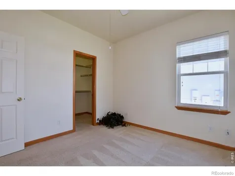 1047 Canal Drive Windsor CO 80550