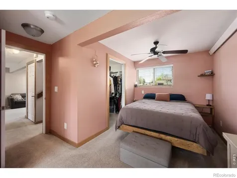 811 Table Mountain Court Windsor CO 80550