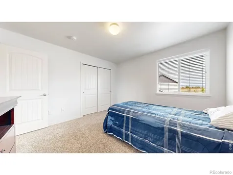 6173 Carmon Court Windsor CO 80550