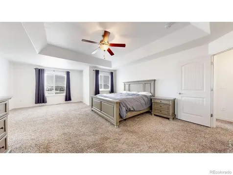 6173 Carmon Court Windsor CO 80550