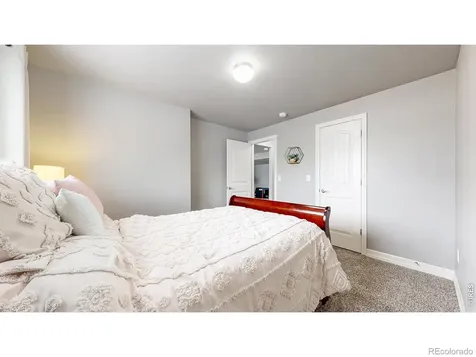 6173 Carmon Court Windsor CO 80550