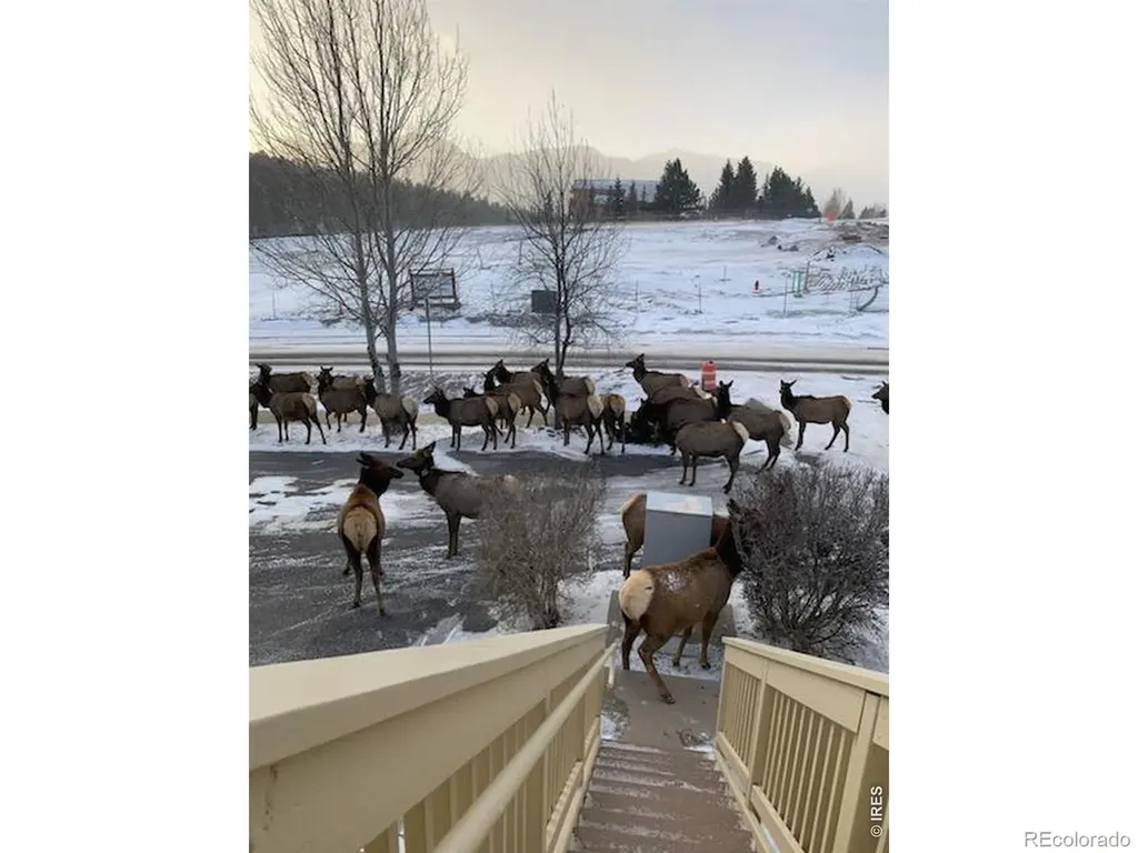 1761 Wildfire Road Estes Park CO 80517