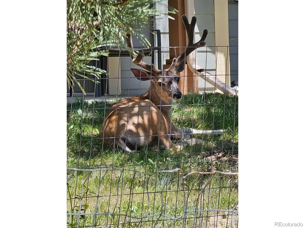 1761 Wildfire Road Estes Park CO 80517