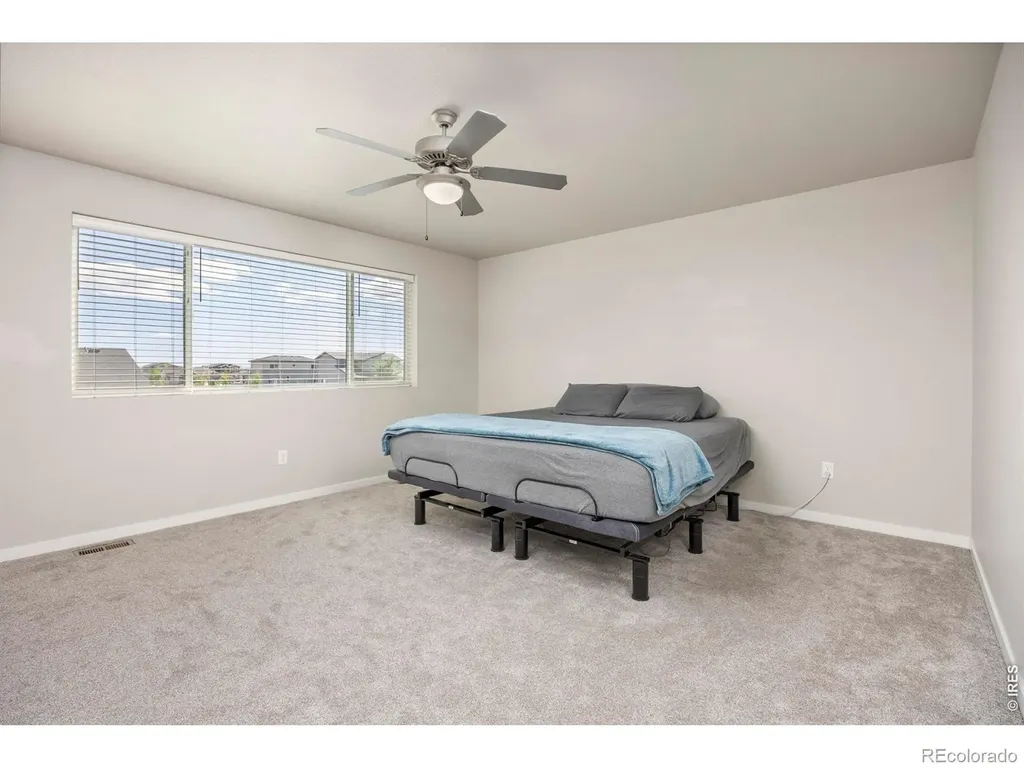 3803 Sweetgum Street Wellington CO 80549