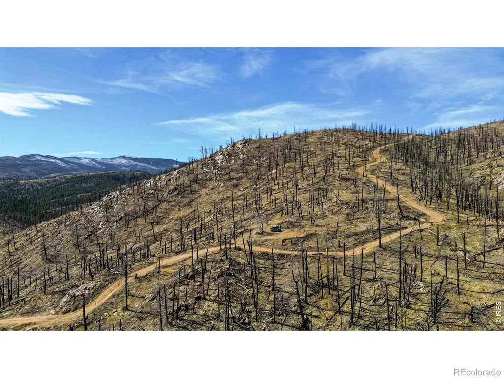 3600 Moondance Way Bellvue CO 80512