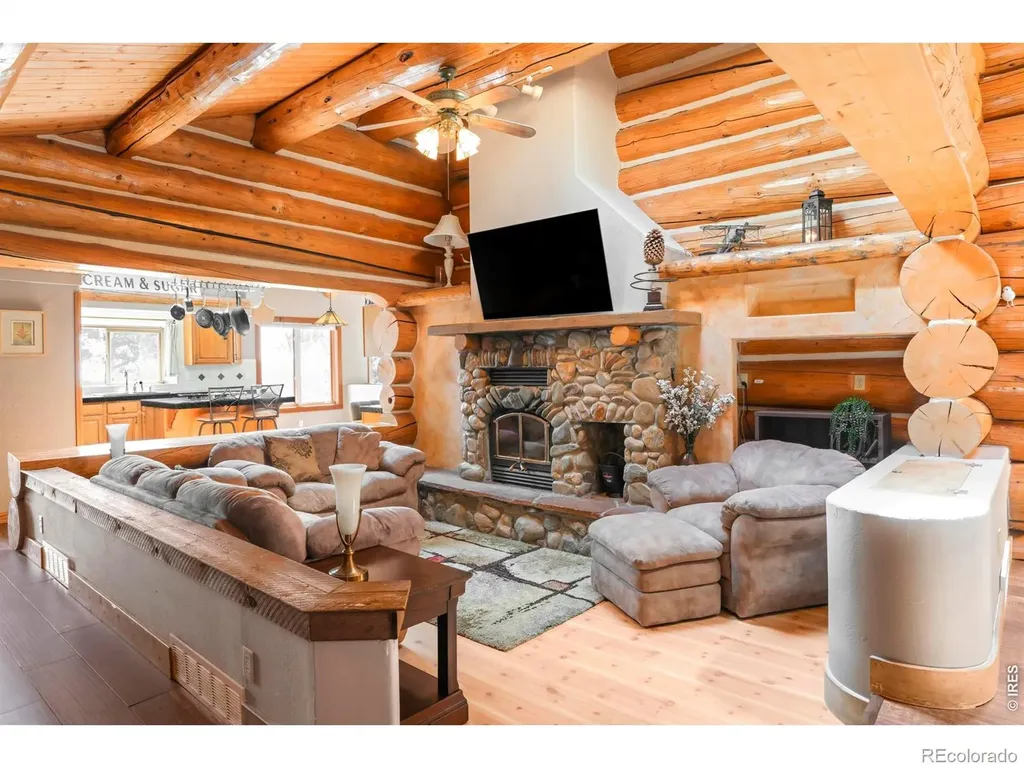 24043 Eagle Cliff Trail Conifer CO 80433