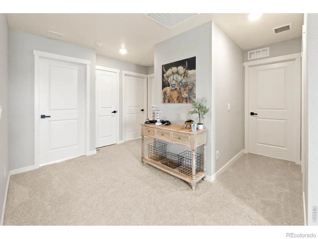 6427 Coralbell Street Wellington CO 80549