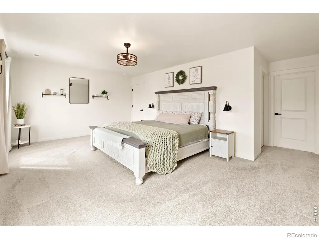6427 Coralbell Street Wellington CO 80549