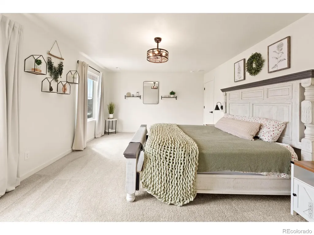 6427 Coralbell Street Wellington CO 80549