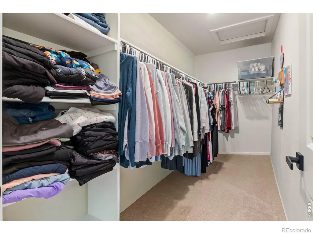 6427 Coralbell Street Wellington CO 80549