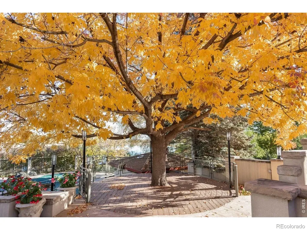 7009 Rozena Drive Longmont CO 80503