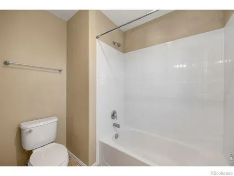 1555 Benfleet Court Windsor CO 80550