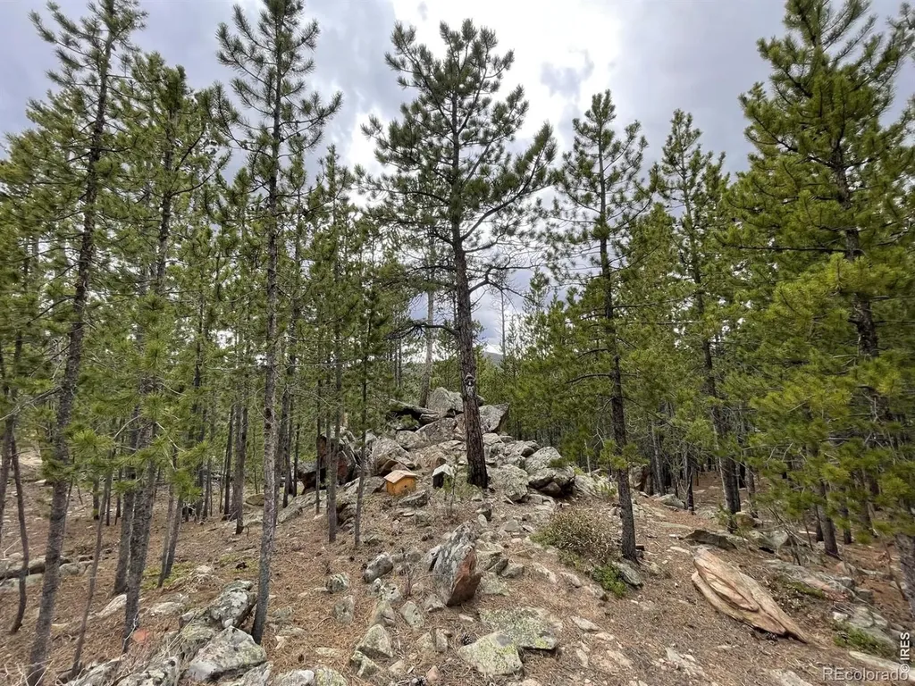 120 Shuswap Court Red Feather Lakes CO 80545