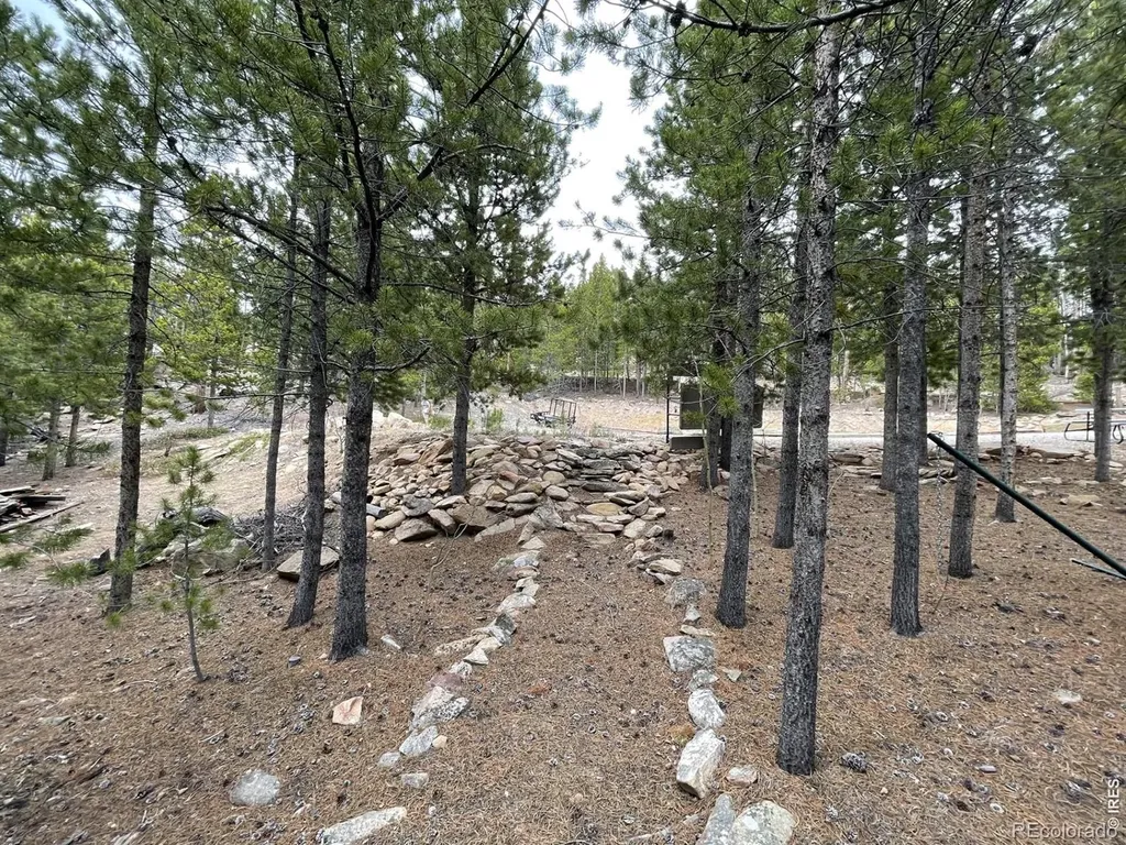 120 Shuswap Court Red Feather Lakes CO 80545