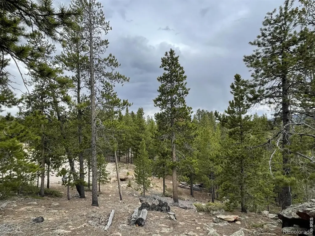 120 Shuswap Court Red Feather Lakes CO 80545