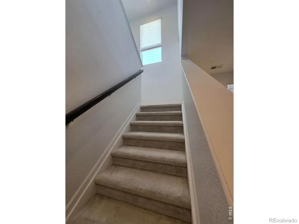 1142 Ibex Drive Severance CO 80550