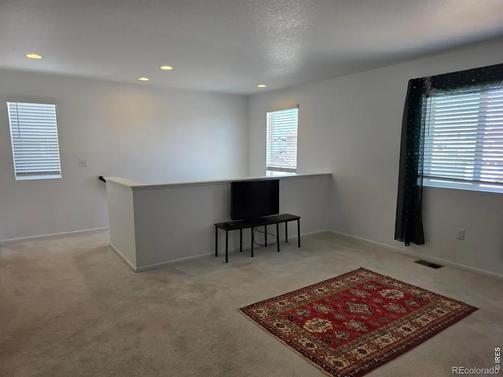 1142 Ibex Drive Severance CO 80550