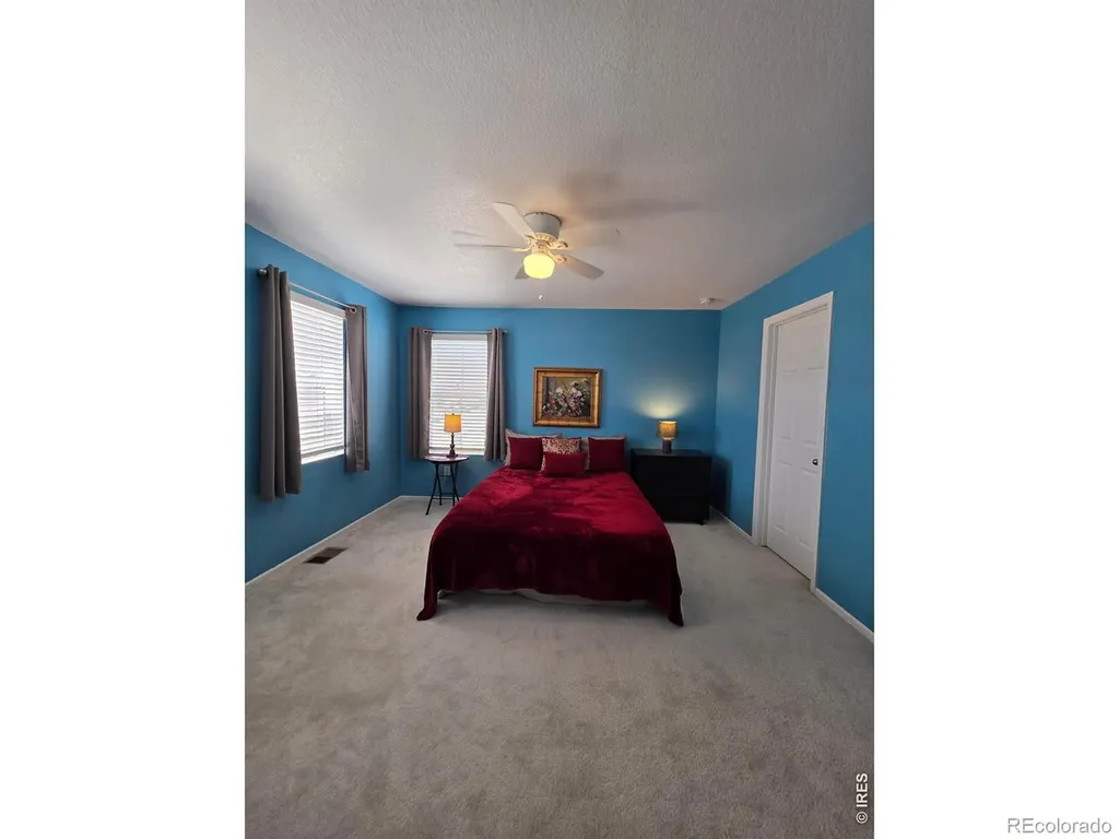 1142 Ibex Drive Severance CO 80550