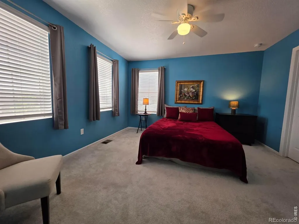 1142 Ibex Drive Severance CO 80550