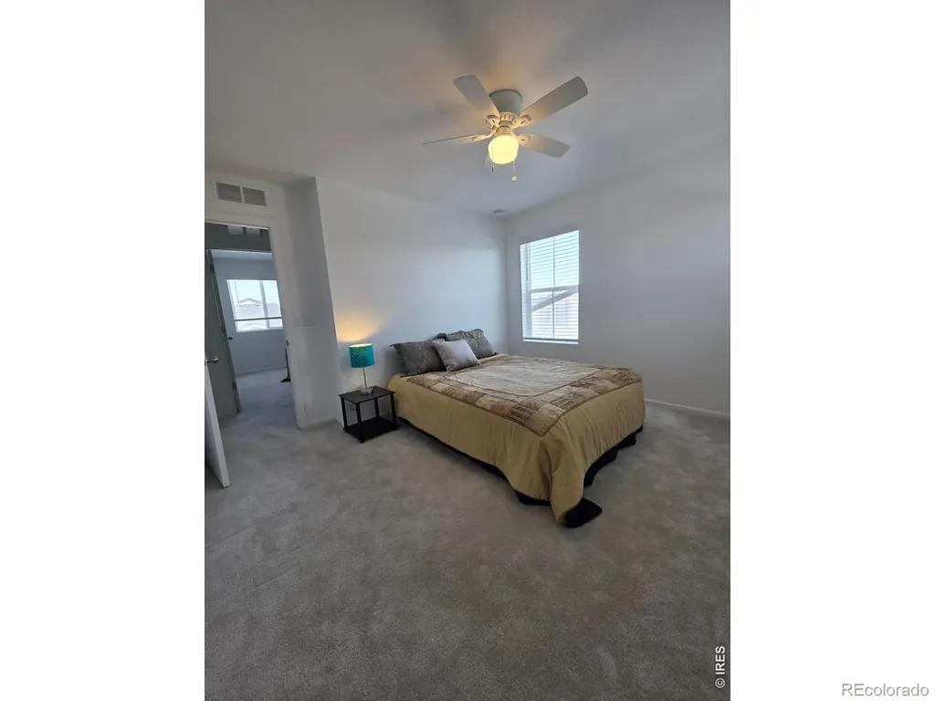 1142 Ibex Drive Severance CO 80550