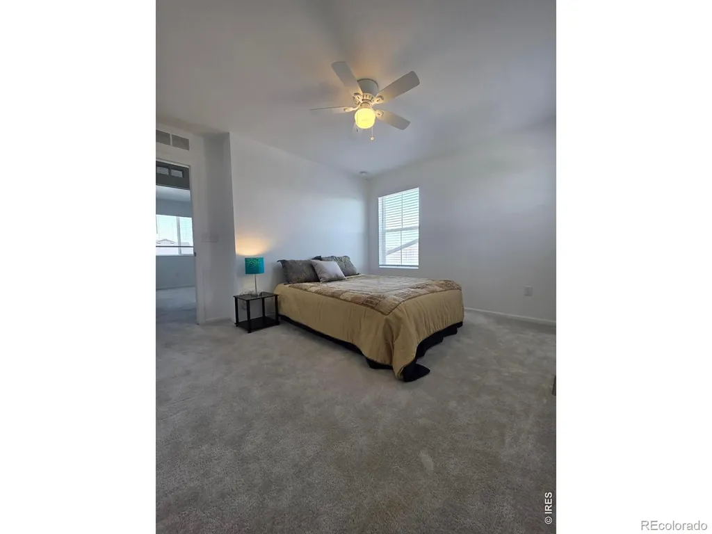1142 Ibex Drive Severance CO 80550