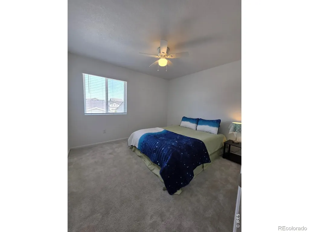 1142 Ibex Drive Severance CO 80550