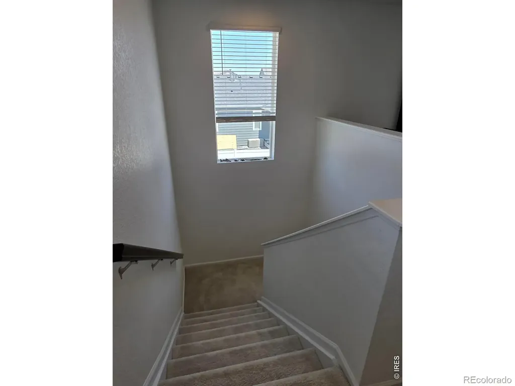 1142 Ibex Drive Severance CO 80550