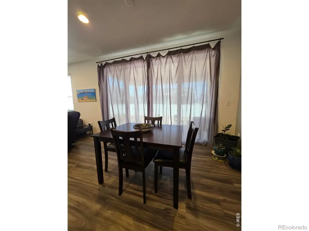 1142 Ibex Drive Severance CO 80550