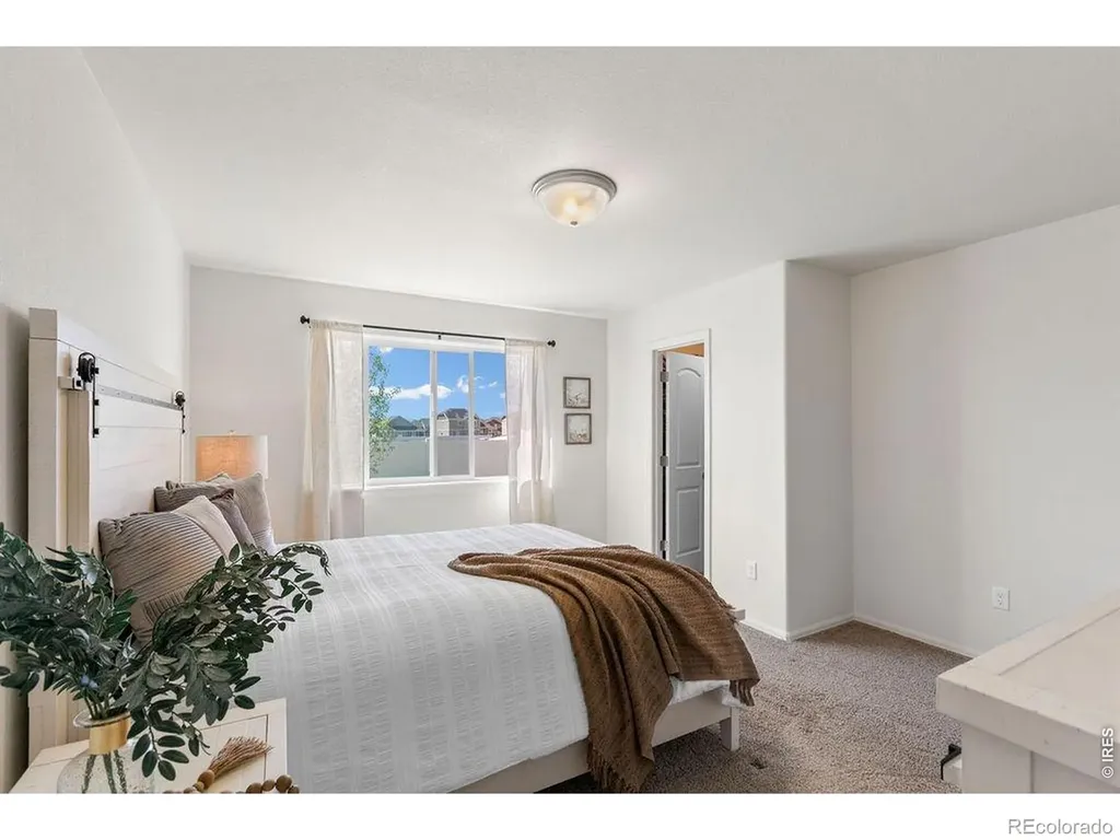 1113 Tur Street Severance CO 80550