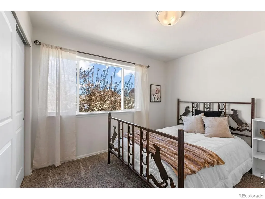 1113 Tur Street Severance CO 80550