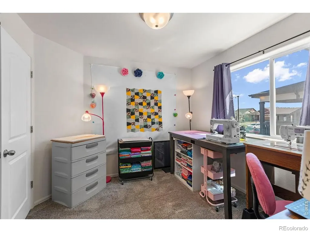 1113 Tur Street Severance CO 80550