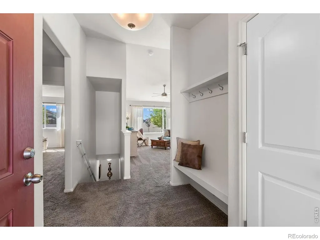 1113 Tur Street Severance CO 80550