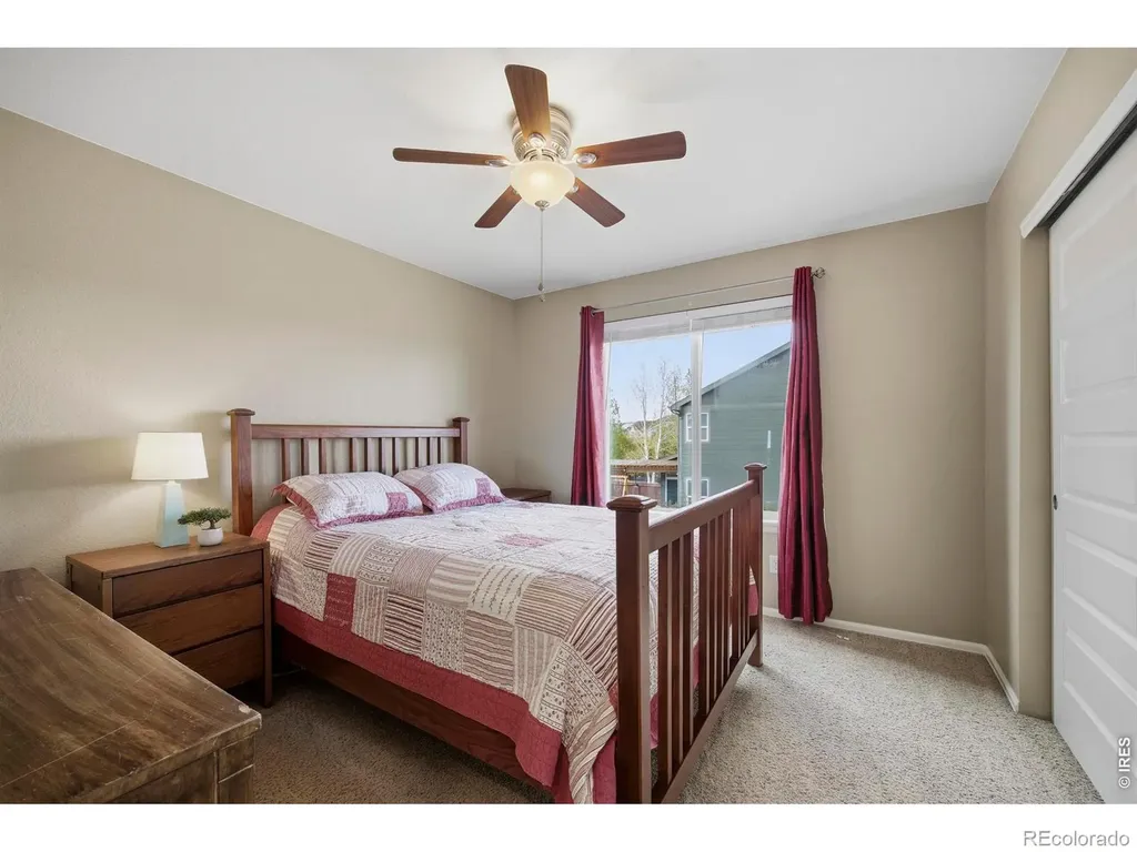 6528 Richland Avenue Timnath CO 80547
